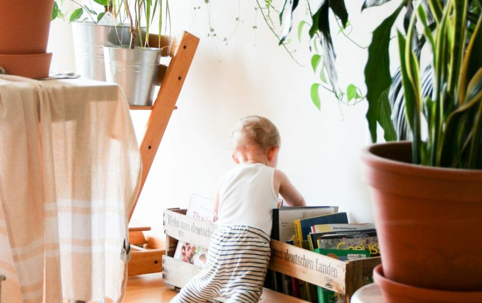 Baby Inspecting Books